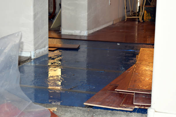 Professional Water Damage technician working in Staples, TX